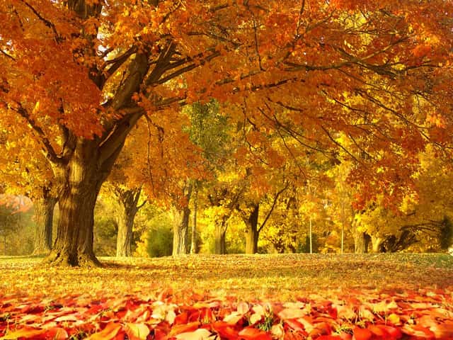 Soldiers Creek MTB Trail