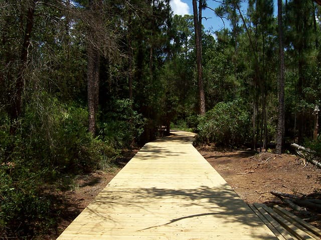 Lake Lizzie Conservation Area
