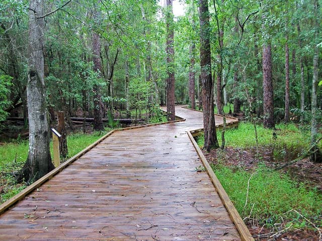 Shingle Creek Regional Park - Steffee Landing