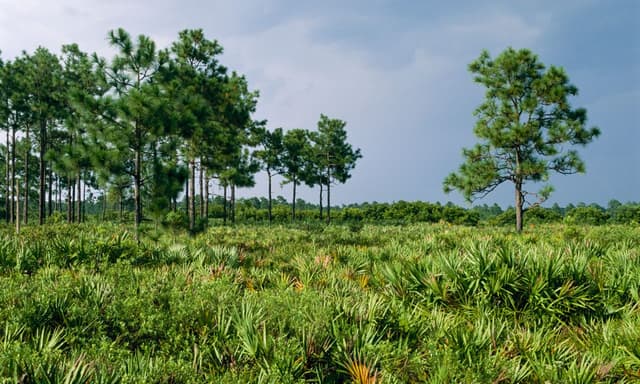 Hal Scott Regional Preserve and Park