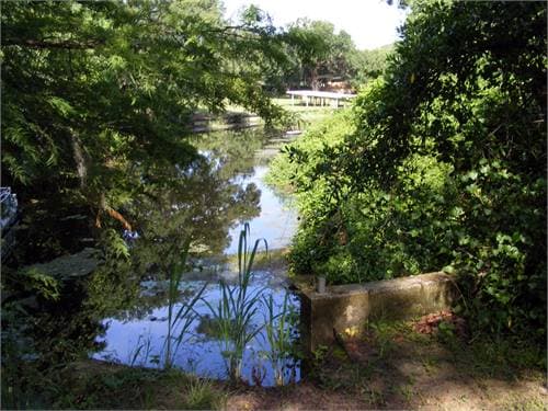 Haynes Creek Preserve