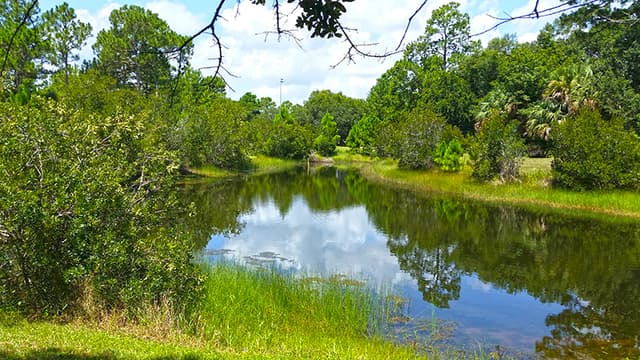 Parrish Park at Scottsmoor