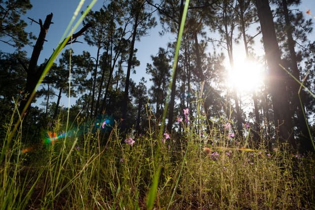 Crosby Island Marsh Preserve
