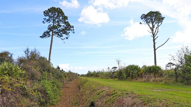 South Lake Conservation Area