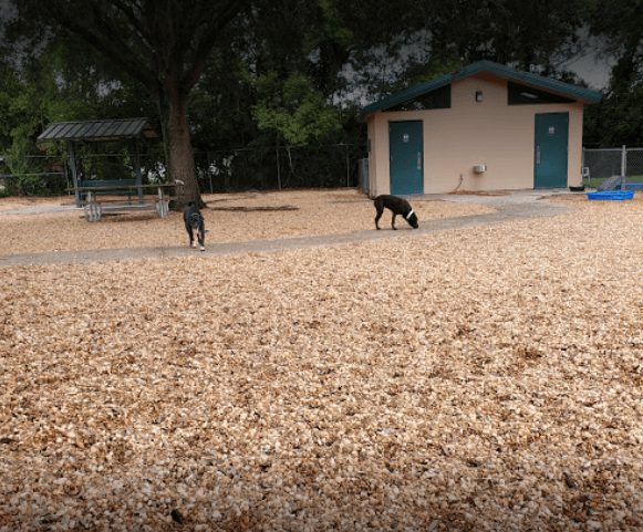 Carolyn Meeker Dog Park