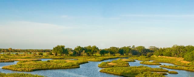 Cockroach Bay Nature Preserve Cockroach Bay Nature Preserve