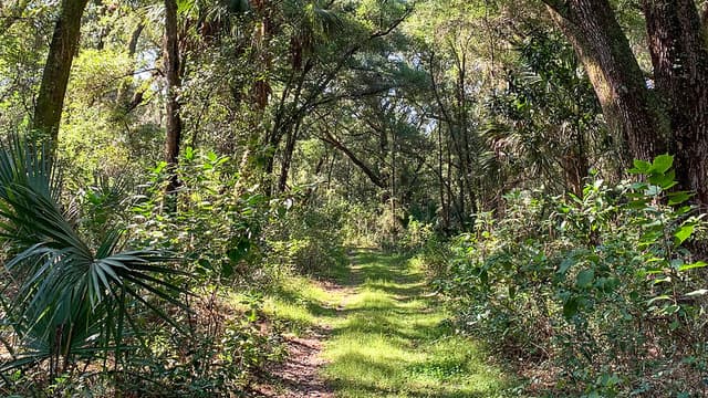 Lake Lucie Conservation Area