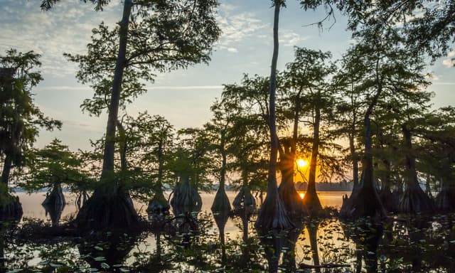 Lake Norris Conservation Area