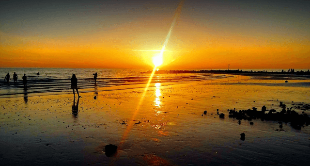 Honeymoon Island State Park