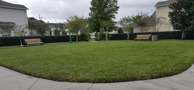 Chele Spring Isle Dog Park