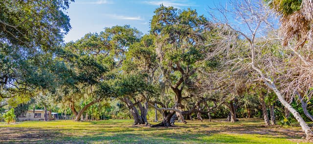 Little Bayou Preserve