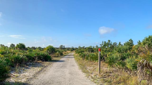 Golden Aster Scrub Nature Preserve