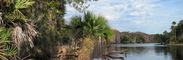 Sabal Bluff Preserve
