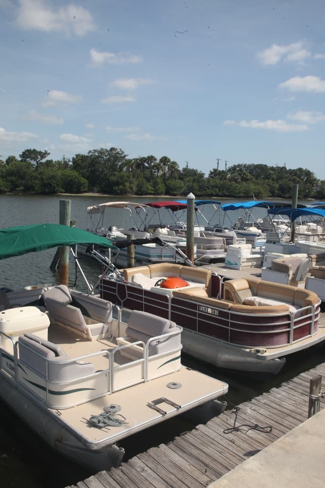 Sand Dollar Boat Rentals