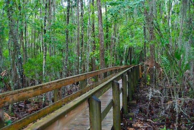 John Chesnut Sr Park