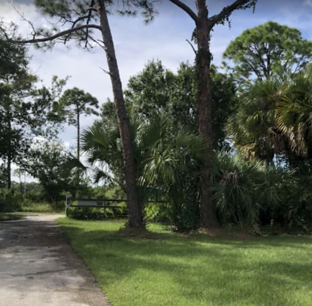 Sandhill Crane Trailhead