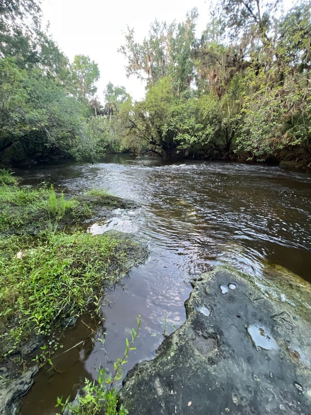 Alderman's Ford Nature Preserve
