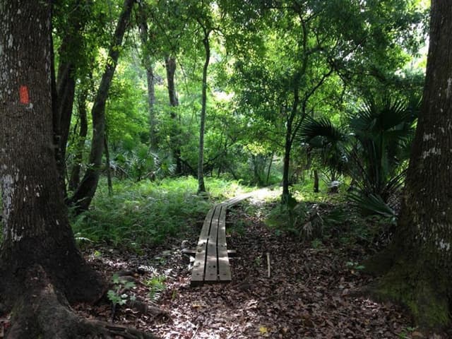 Charles H. Bronson State Forest