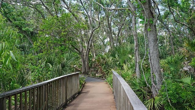 Merritt Island National Wildlife Refuge Visitor Center Boardwalk