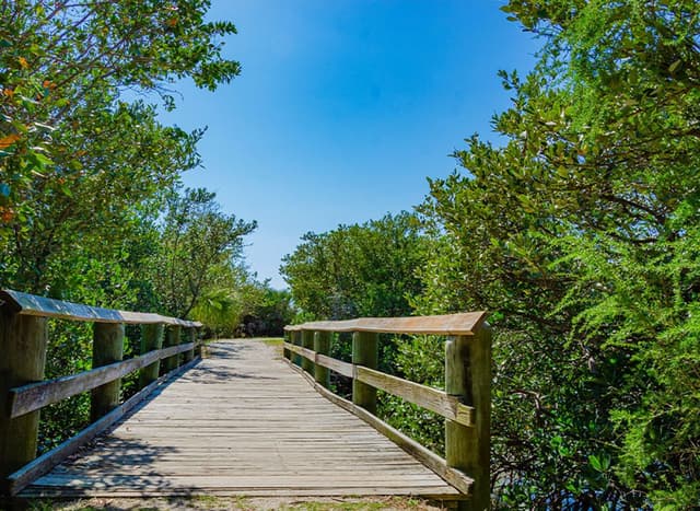 Jungle Prada & DeNarvaez Park