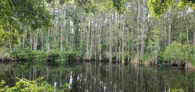 Northwest Equestrian Conservation Park