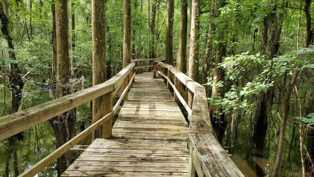 Mosaic Peace River Park