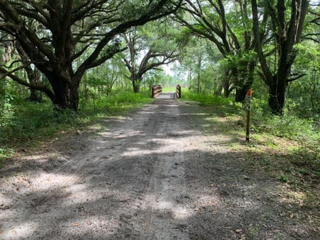 Lower Green Swamp Nature Preserve