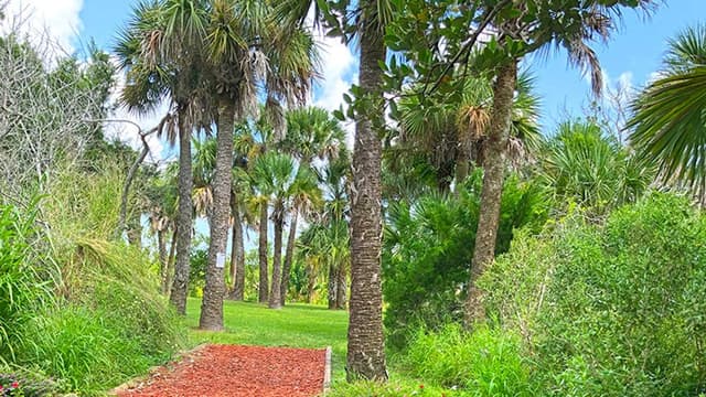 North Brevard Walking Trail