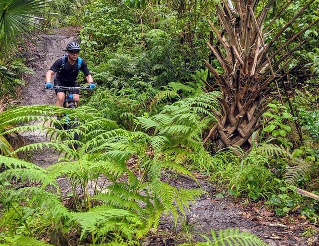 Grant Flatwoods Sanctuary