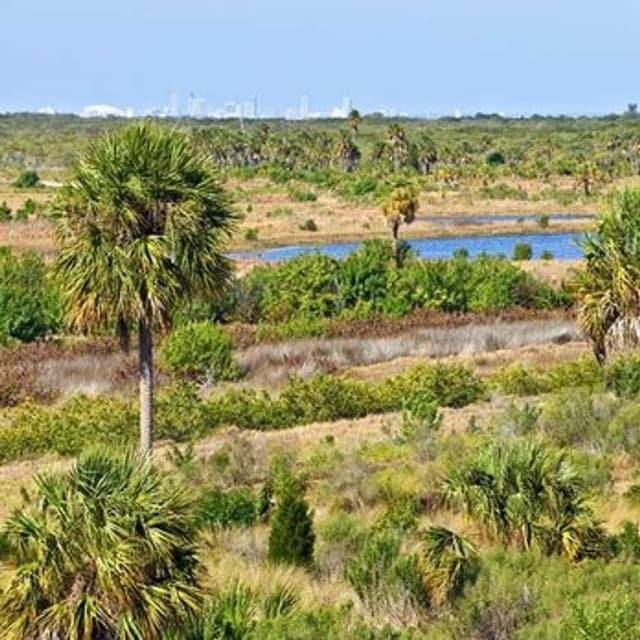 Wolf Branch Creek Nature Preserve