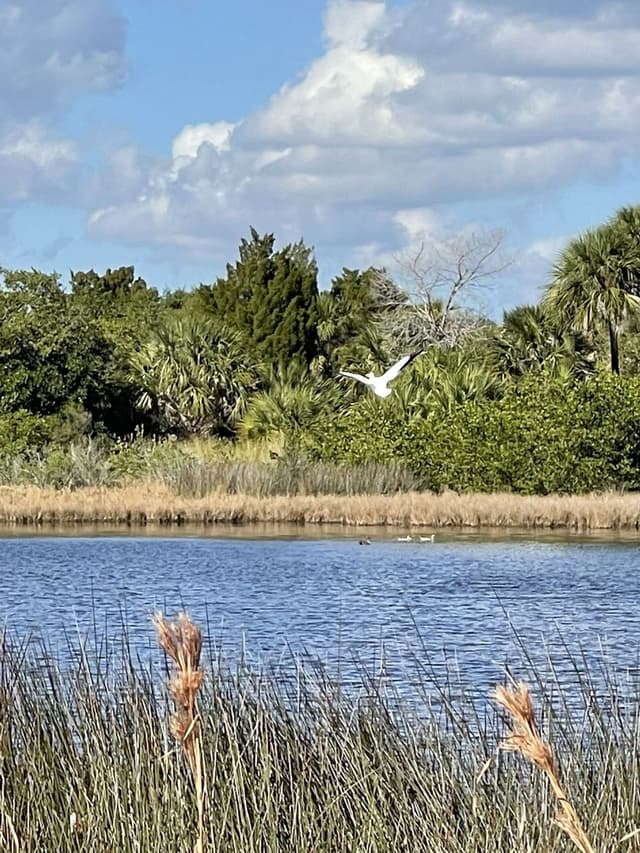 Bahia Beach Nature Preserve