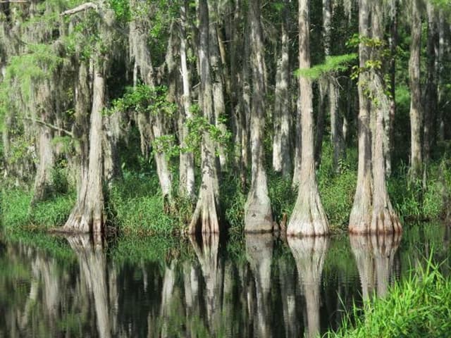 Crooked River Preserve