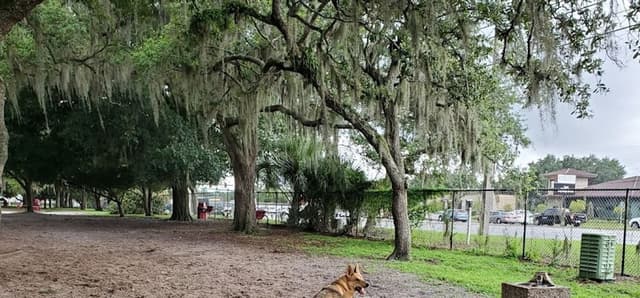 Downey Dog Park Downey Dog Park