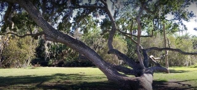 Riverview Civic Center Riverview Civic Center