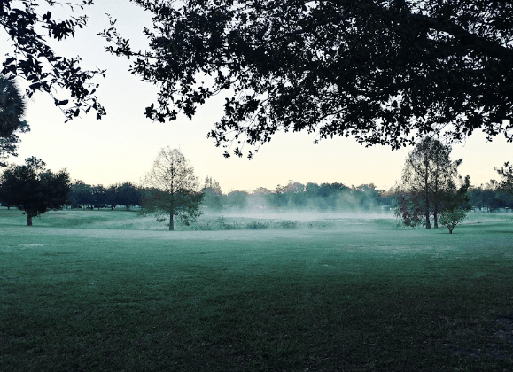 Lake Dot Park Lake Dot Park