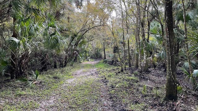 Alafia River Corridor Nature Preserve South Alafia River Corridor Nature Preserve South