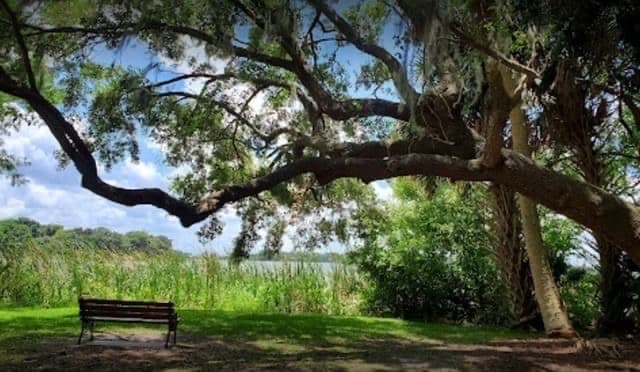 Elizabeth Evans Park Elizabeth Evans Park