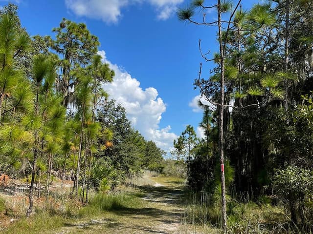 Bell Creek Nature Preserve Bell Creek Nature Preserve