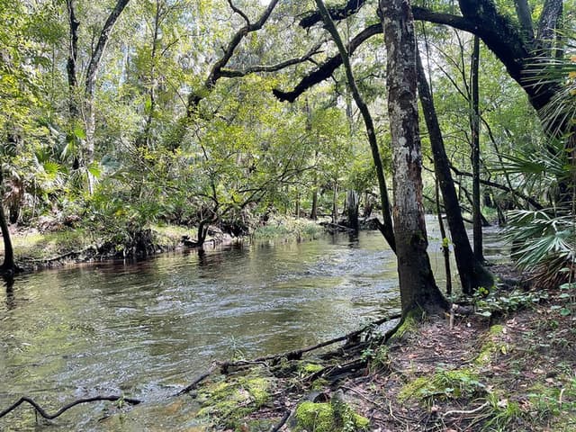 Blackwater Creek Nature Preserve Blackwater Creek Nature Preserve