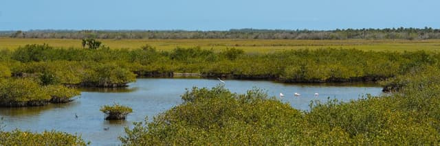 Cruickshank Trail Cruickshank Trail