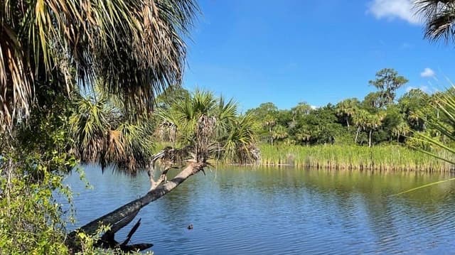 Camp Bayou Nature Preserve & Outdoor Learning Center Camp Bayou Nature Preserve & Outdoor Learning Center