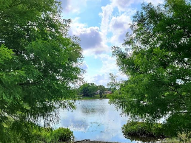 Dew Drop Park Dew Drop Park