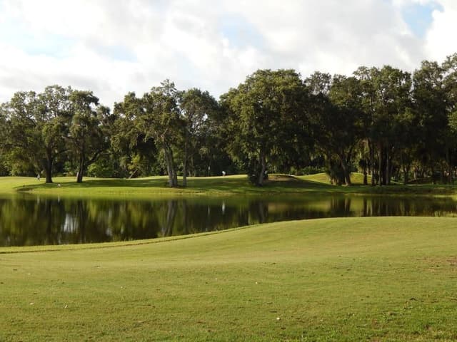 The Preserve At Turnbull Bay The Preserve At Turnbull Bay