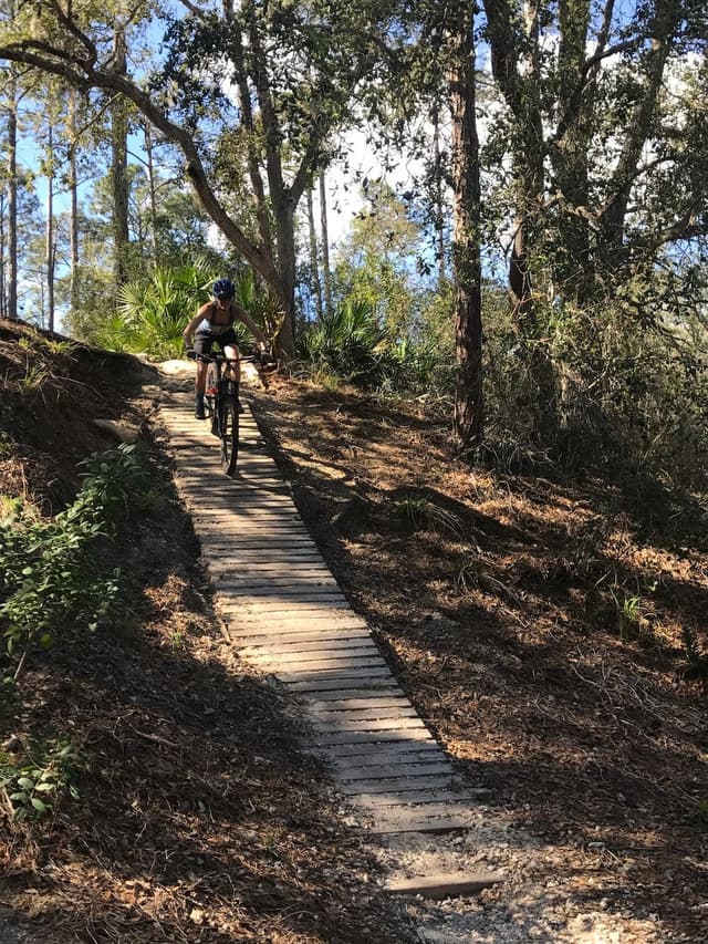 Graham Swamp East MTB Trailhead Graham Swamp East MTB Trailhead