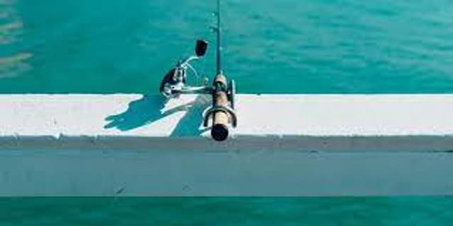 Hammock Bait & Tackle Hammock Bait & Tackle