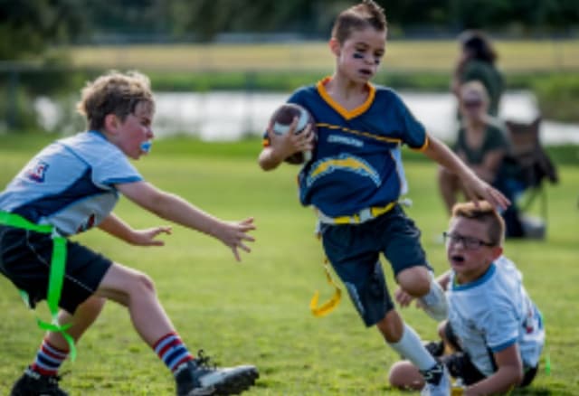 Mad Dogs Flag Football of Palm Coast Mad Dogs Flag Football of Palm Coast